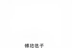 节点出处标注指南封面，来源标签分类展示的示意图